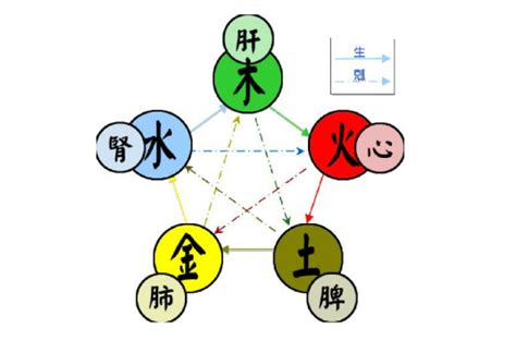 五行屬水國家|五行（对万事万物的取象比类）